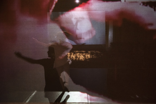 Photo Flash: CONCRETE DREAMS Exhibition Brings To Life Iconic Arts Venues Image