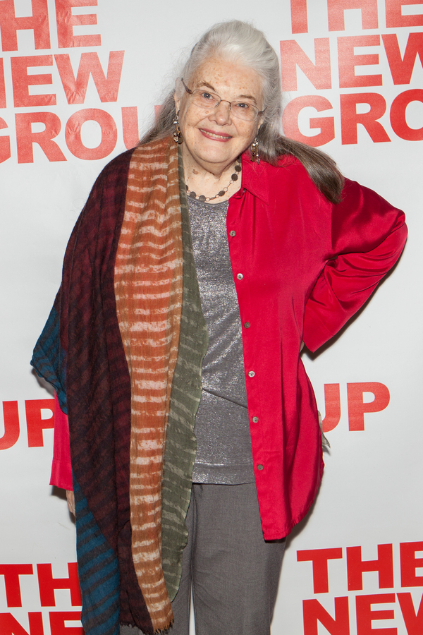 Photo Flash: Meet the Company of The New Group's PEACE FOR MARY FRANCES Image