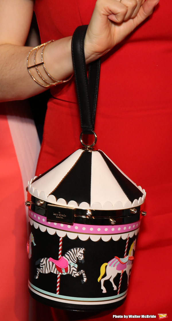 Photo Coverage: Go Inside the CAROUSEL Opening Night After Party Image