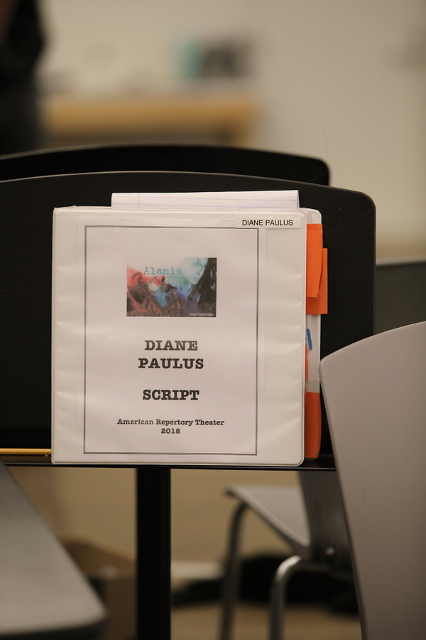 Photo Flash: You Oughta Know... Rehearsals Have Begun for  JAGGED LITTLE PILL at the A.R.T.! Image