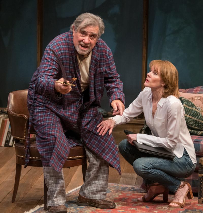 Interview: Dan Lauria Talks Creative Madness in THE STONE WITCH, Joining THIS IS US, and More Image