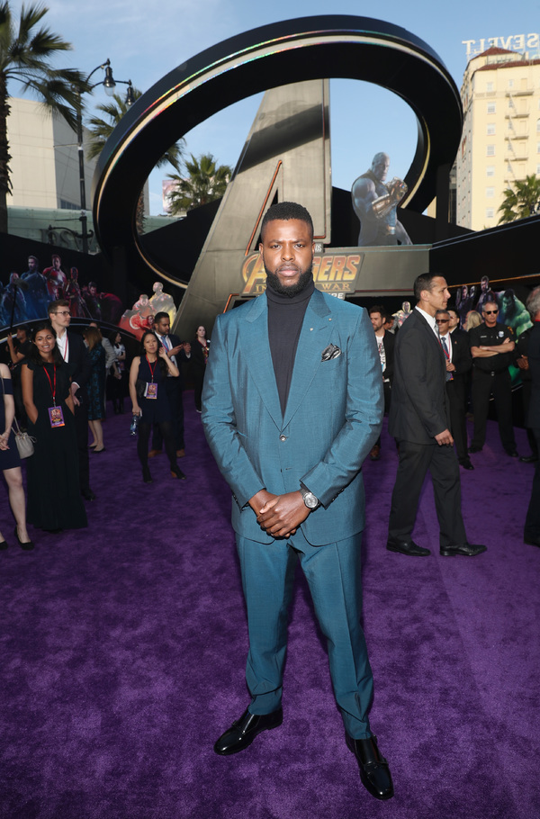 Photo Coverage: Marvel's AVENGERS: INFINITY WAR World Premiere Image