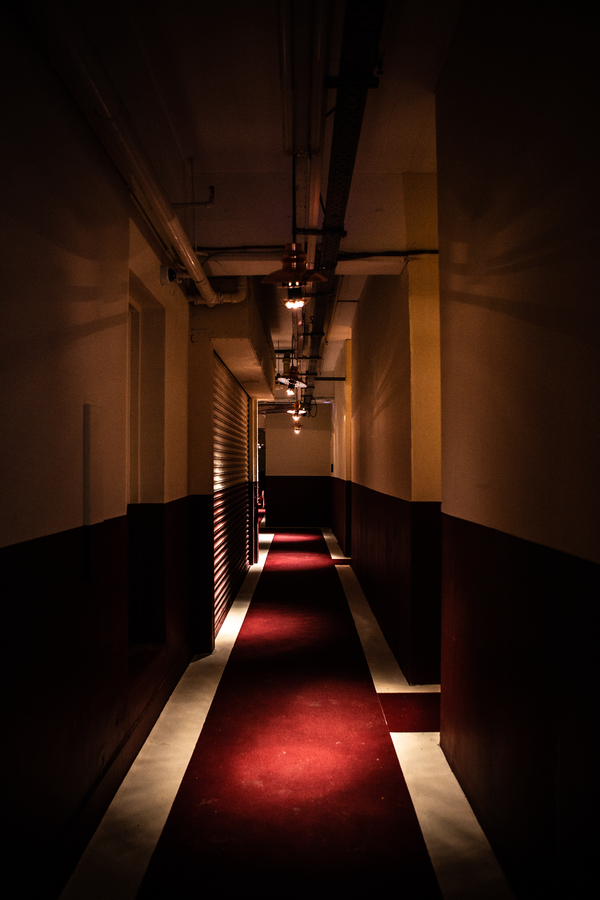 Photo Flash: differencENGINE Present THE HOLLOW HOTEL Image