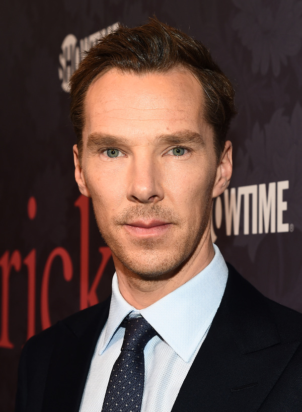 Photo Coverage: Benedict Cumberbatch, Allison Williams, & More Attend the Premiere of Showtime's PATRICK MELROSE Image