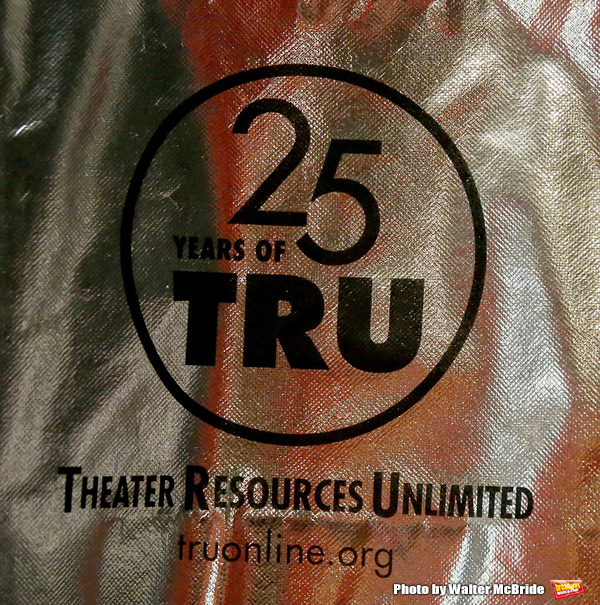 Photo Coverage: Theater Resources Unlimited Holds Panel: Stream It and They Will Come Image