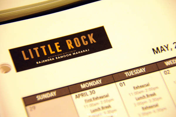 Photo Flash: Meet the Cast of LITTLE ROCK Image