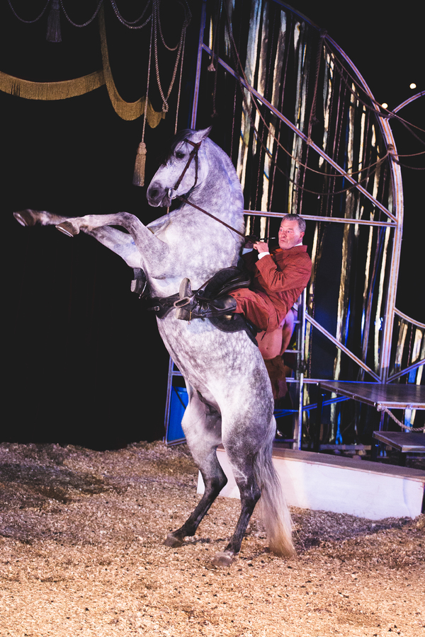 Photo Flash: First Look at Giffords Circus' MY BEAUTIFUL CIRCUS Tour Image