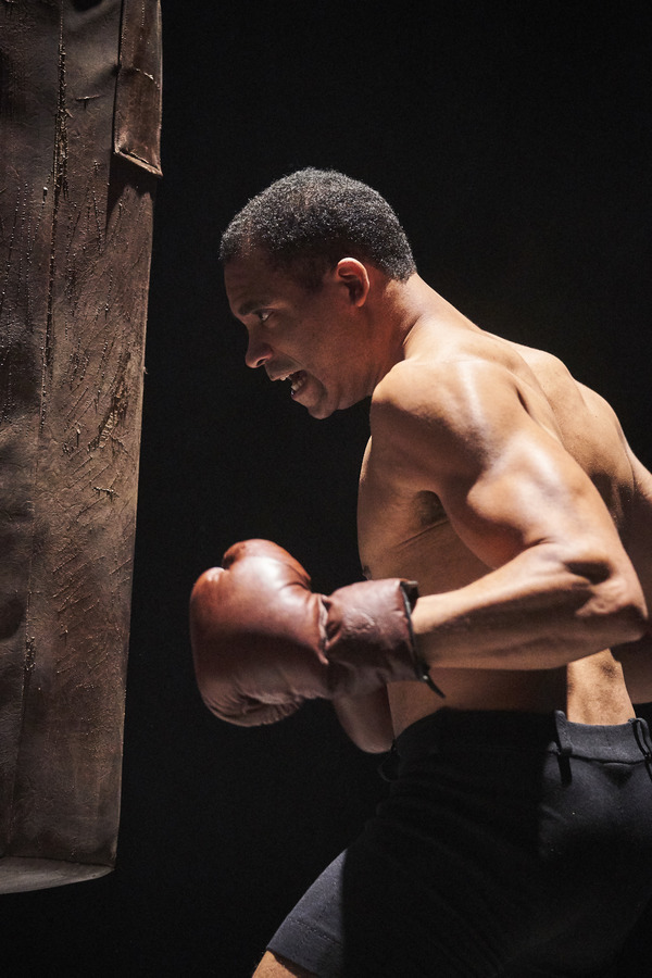 Photo Flash: Cleveland Play House Packs Punch With THE ROYALE Image