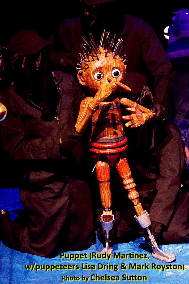 Interview: Chelsea Sutton Muses on WOOD BOY, Garry Marshall & Going Rogue Image