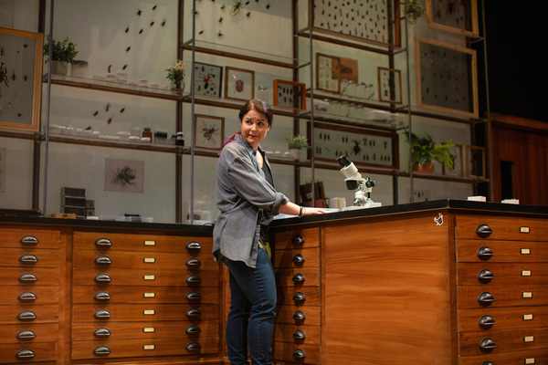 Photo Flash: San Francisco Playhouse Presents AN ENTOMOLOGIST'S LOVE STORY Image