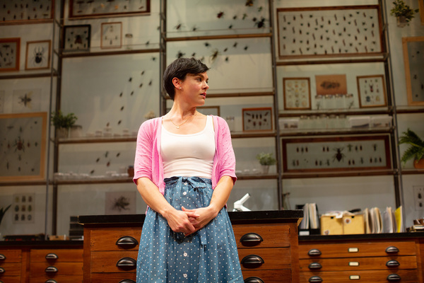 Photo Flash: San Francisco Playhouse Presents AN ENTOMOLOGIST'S LOVE STORY Image