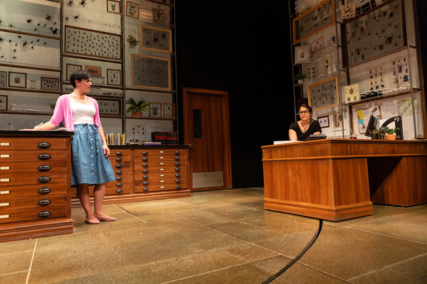 Photo Flash: San Francisco Playhouse Presents AN ENTOMOLOGIST'S LOVE STORY Image