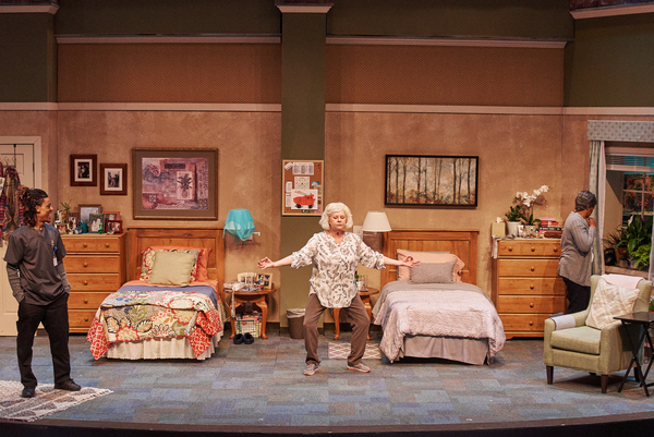 Photo Flash: Aurora Theatre Rounds Out Stellar 2017-18 Season with RIPCORD Image