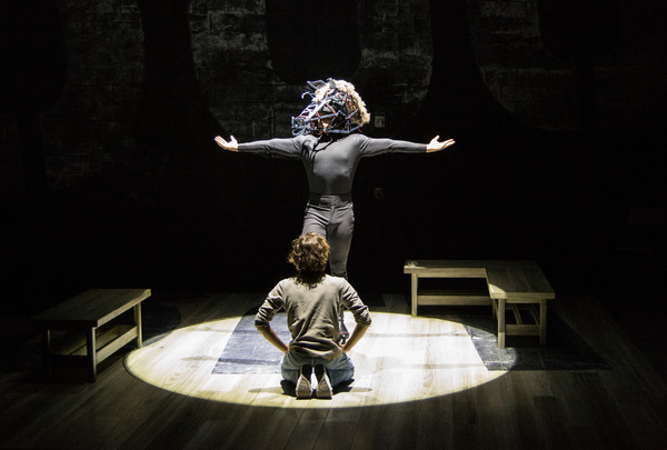 Photo Flash: Palm Beach Dramaworks Presents EQUUS Image