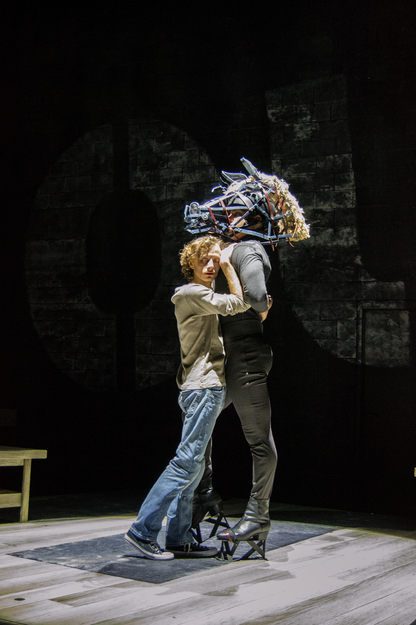 Photo Flash: Palm Beach Dramaworks Presents EQUUS Image
