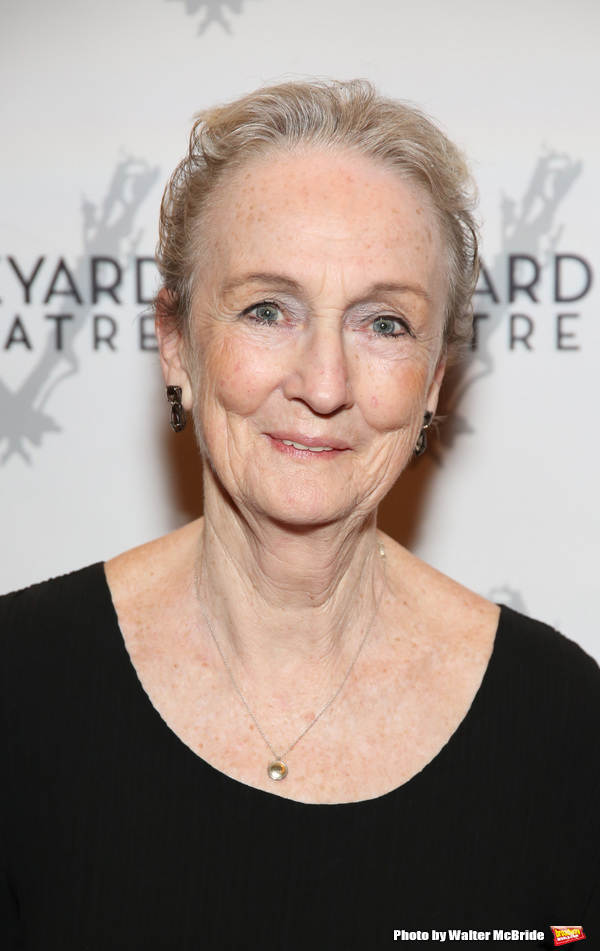 Photo Coverage: On the Red Carpet for Vineyard Theatre's Spring Gala! Image