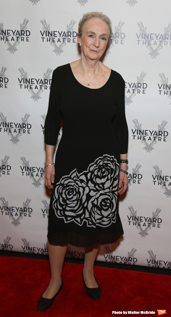 Photo Coverage: On the Red Carpet for Vineyard Theatre's Spring Gala! Image