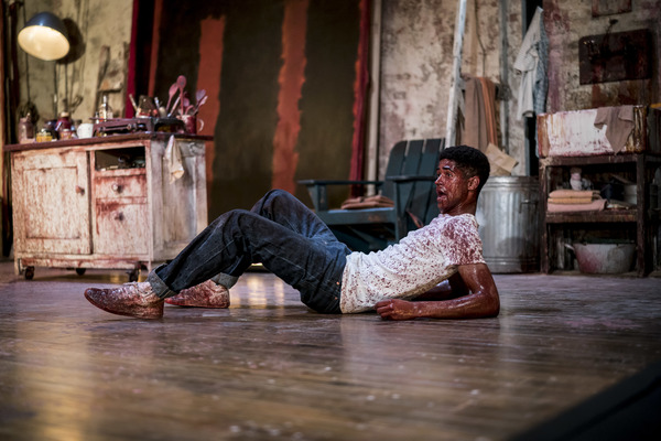 Photo Flash: First Look at Michael Grandage Company's RED Image