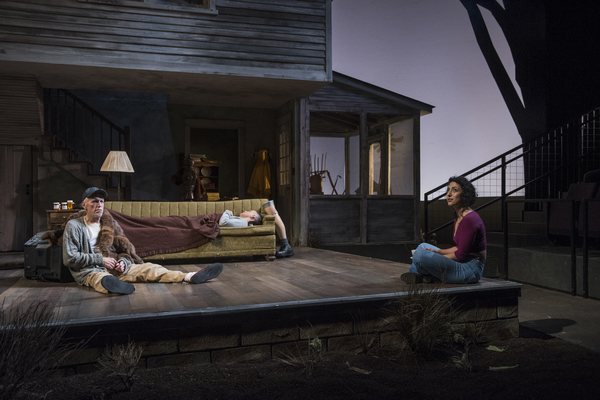 Photo Flash: Sam Shepard's BURIED CHILD Comes to Writers Theatre Image