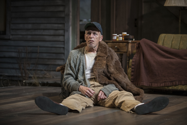 Photo Flash: Sam Shepard's BURIED CHILD Comes to Writers Theatre Image