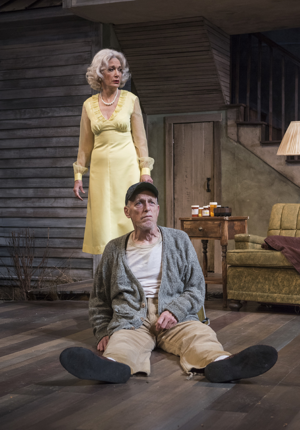 Photo Flash: Sam Shepard's BURIED CHILD Comes to Writers Theatre Image