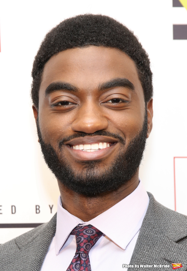 Photo Coverage: On the Red Carpet for the 2018 Drama League Awards! Image