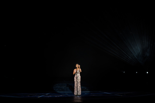 Photo Flash: Get a Look at The Muny's Centennial Production, AN EVENING WITH THE STARS Image