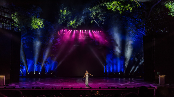Photo Flash: Get a Look at The Muny's Centennial Production, AN EVENING WITH THE STARS Image