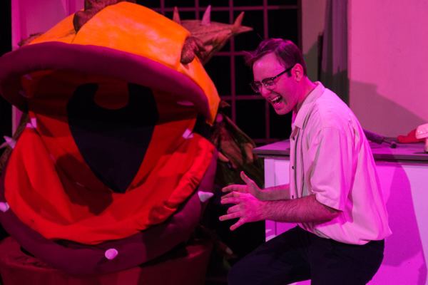 Photo Flash: The Lakewood Playhouse Presents LITTLE SHOP OF HORRORS Image
