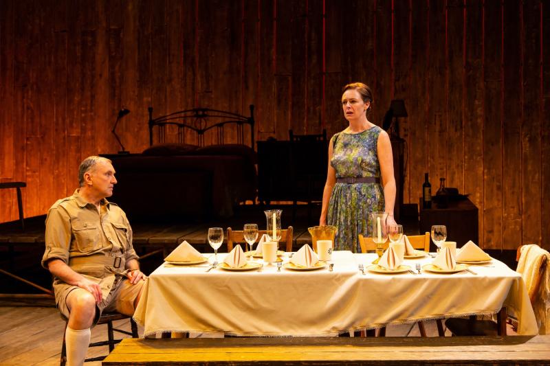 Review: A LESSON FROM ALOES at Hartford Stage Image