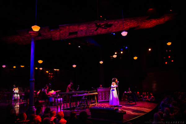 Photo Flash: New Photos of Deidrie Henry in LADY DAY AT EMERSON'S BAR AND GRILL 