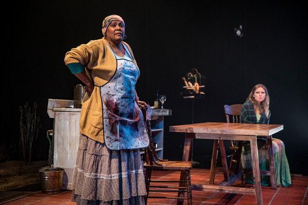 Photo Flash: Victory Gardens Theater Presents MIES JULIE Image