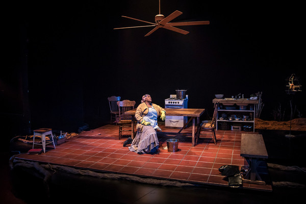 Photo Flash: Victory Gardens Theater Presents MIES JULIE 