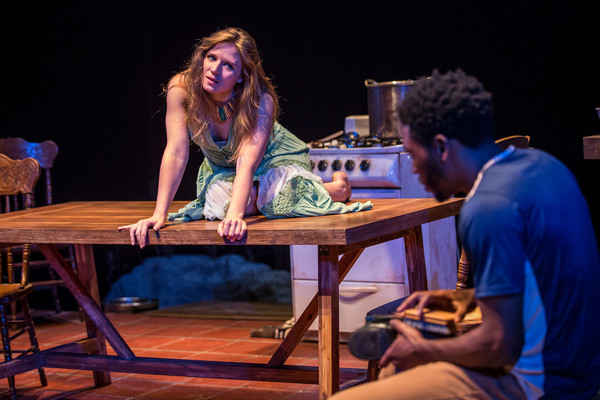 Photo Flash: Victory Gardens Theater Presents MIES JULIE Image