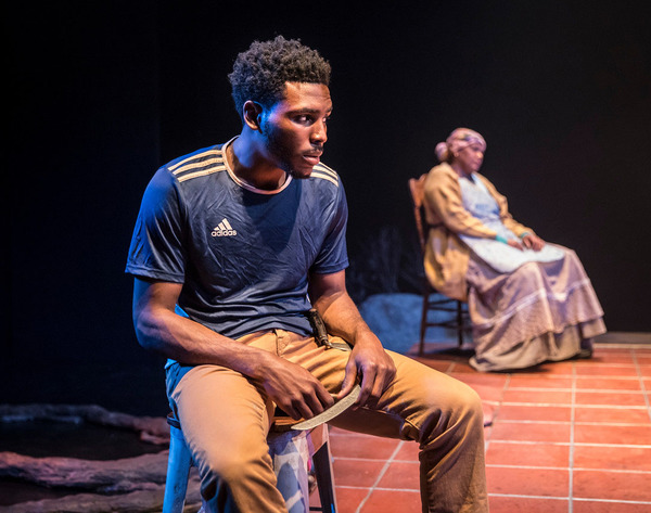 Photo Flash: Victory Gardens Theater Presents MIES JULIE Image