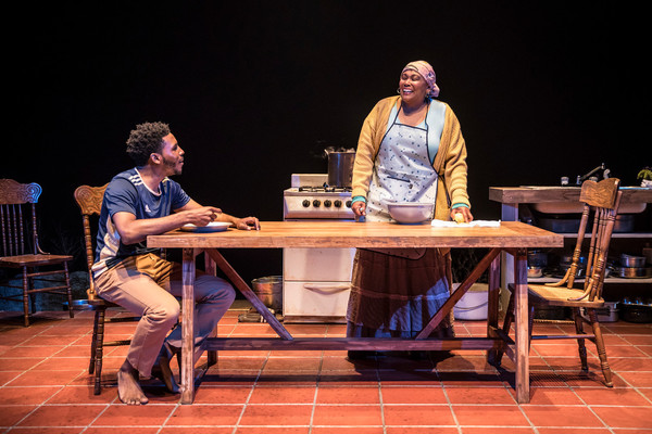 Photo Flash: Victory Gardens Theater Presents MIES JULIE Image