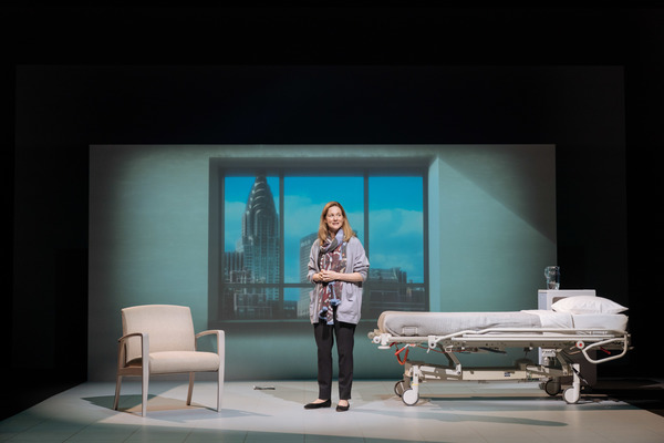 Photo Flash: First Look at Laura Linney in MY NAME IS LUCY BARTON Image