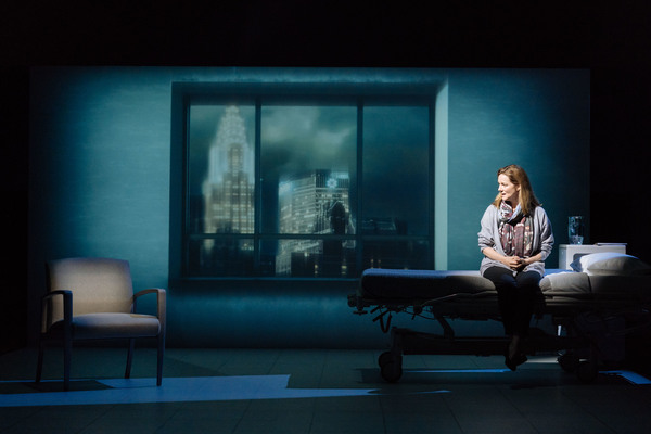 Photo Flash: First Look at Laura Linney in MY NAME IS LUCY BARTON Image