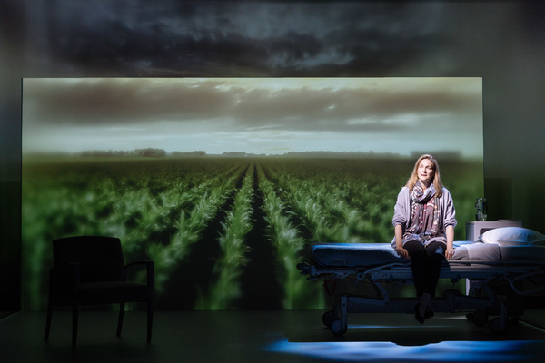 Photo Flash: First Look at Laura Linney in MY NAME IS LUCY BARTON Image