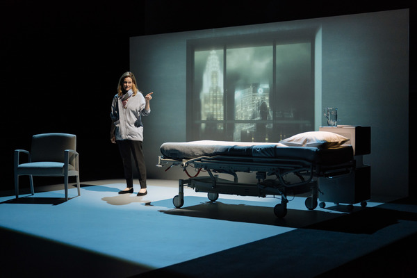 Photo Flash: First Look at Laura Linney in MY NAME IS LUCY BARTON Image