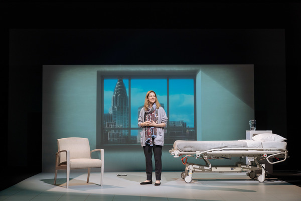 Photo Flash: First Look at Laura Linney in MY NAME IS LUCY BARTON Image