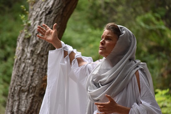 Review: Politics and Power Clash in Theatricum Botanicum's CORIOLANUS Image