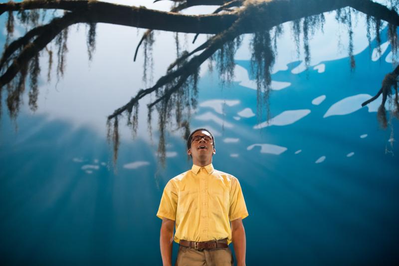 Review: EVER IN THE GLADES at Kennedy Center Image