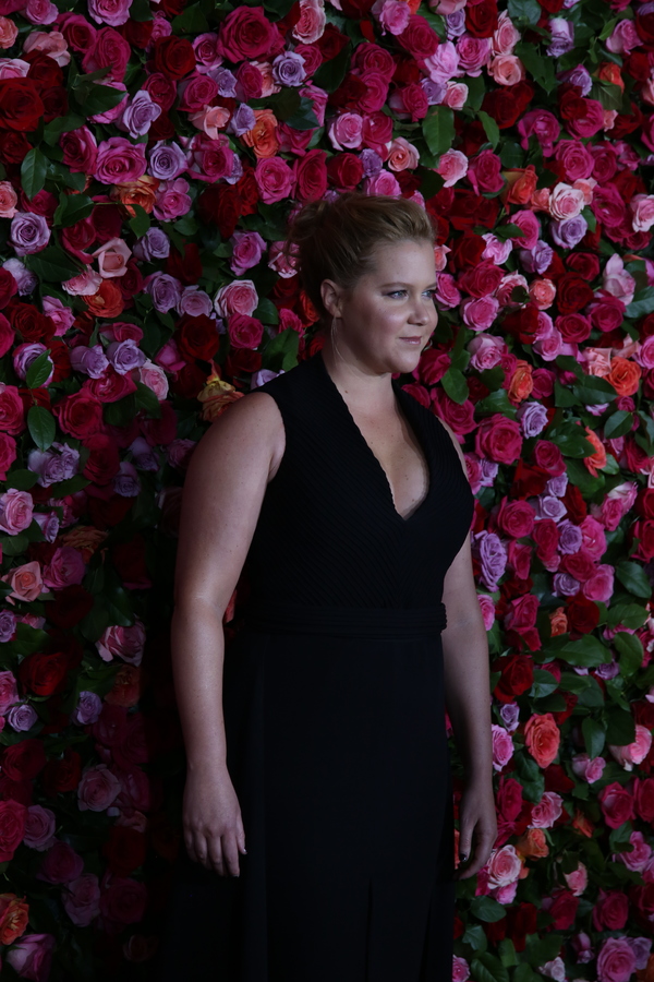 Photo Coverage: Stars Strut the Red Carpet at the 2018 Tony Awards! Image