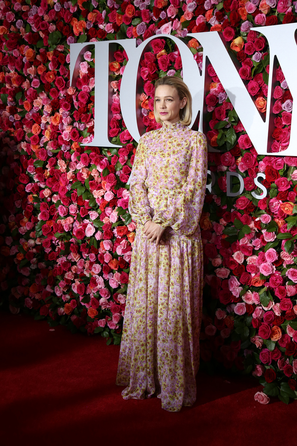 Photo Coverage: Stars Strut the Red Carpet at the 2018 Tony Awards! Image
