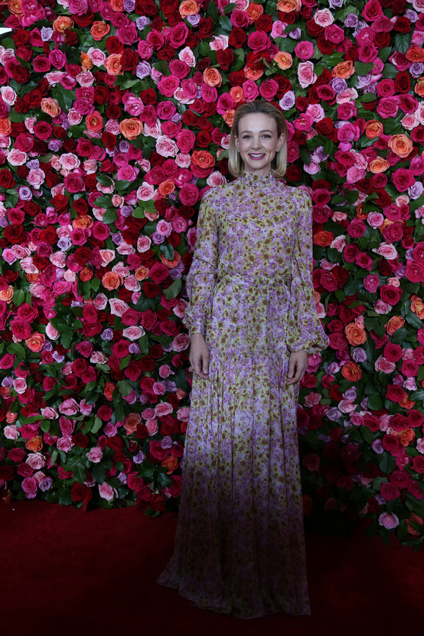 Photo Coverage: Stars Strut the Red Carpet at the 2018 Tony Awards! Image