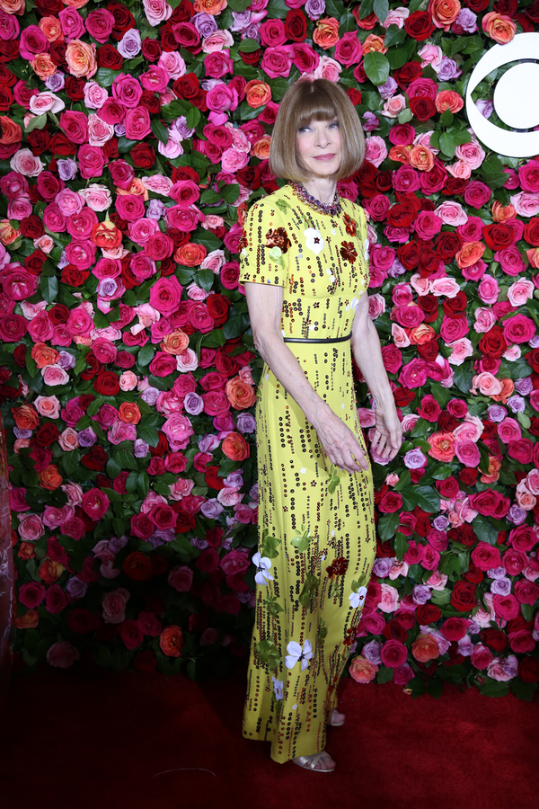 Photo Coverage: Stars Strut the Red Carpet at the 2018 Tony Awards! Image