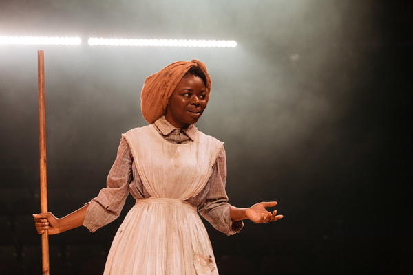 Photo Flash: First Look at National Theatre's AN OCTOROON Image