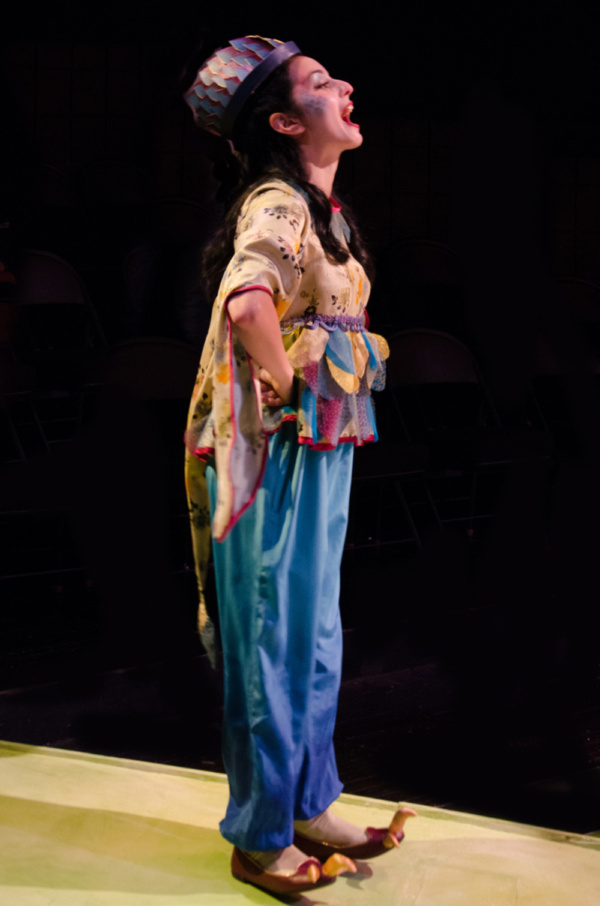 Photo Flash: First Look at World Premiere Musical Opening At Hope Summer Rep Image