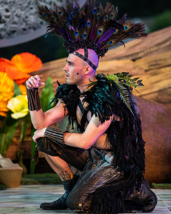 Photo Flash: First Look at A MIDSUMMER NIGHT'S DREAM at Shakespeare on the Sound Image